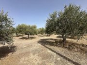 Arkadi Kreta, Asteri: Grundstück mit Meerblick zu verkaufen Grundstück kaufen